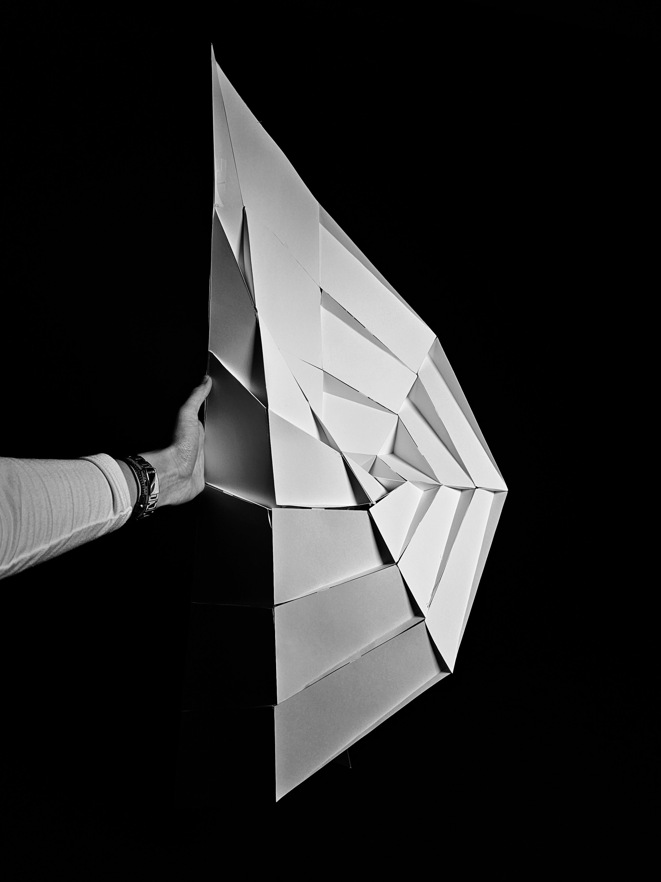 Form Design, Panelization, and Realization